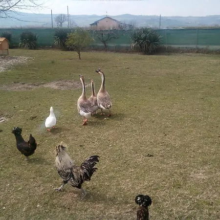 Hétvégi ház Casa Cantone